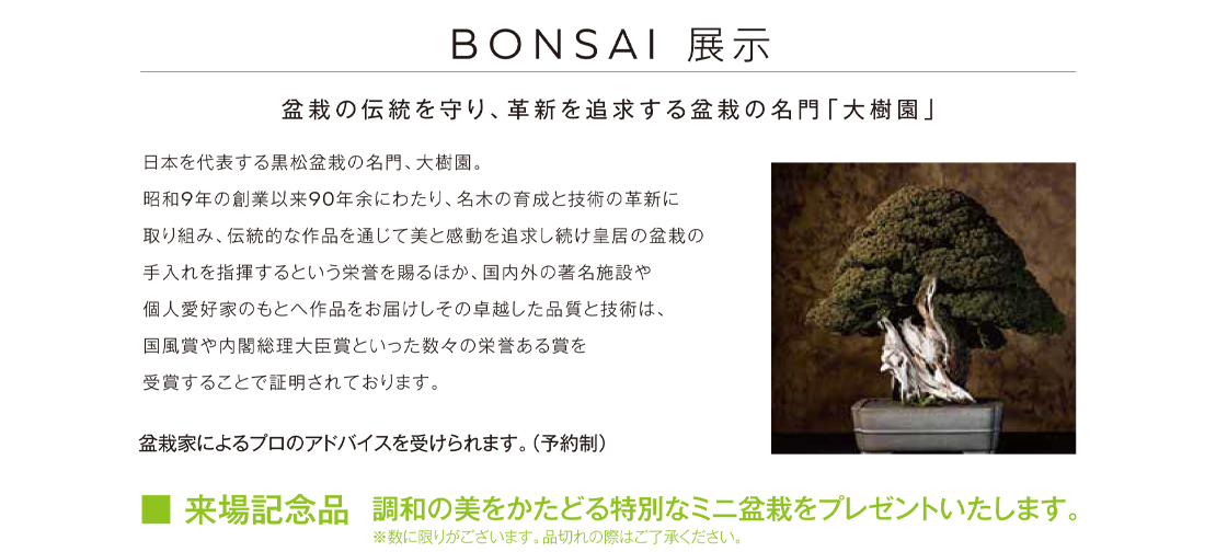 2日間限定ＯＭＯＴＥＮＡＳＨＩ